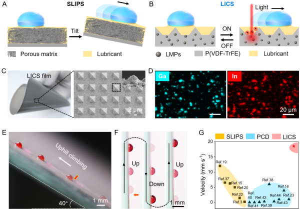 W020220711557846795154.png